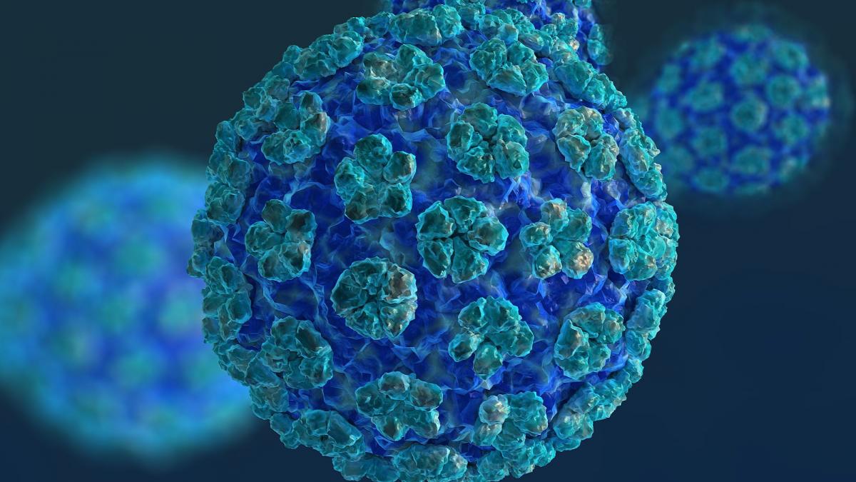 can hpv virus cause infertility)