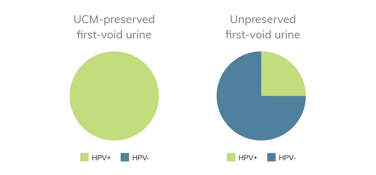 Preservation and stability of DNA