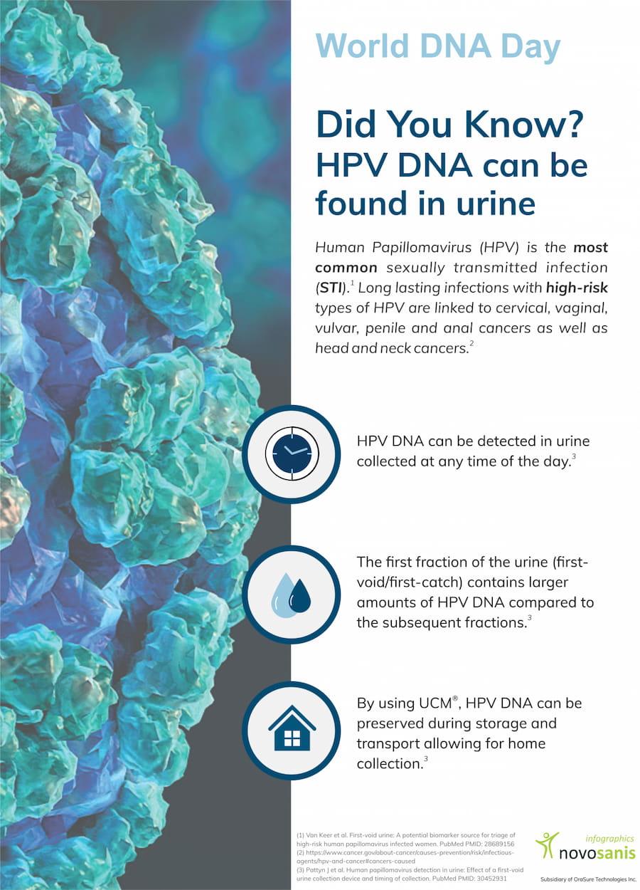 HPV DNA in urine facts (infographic)