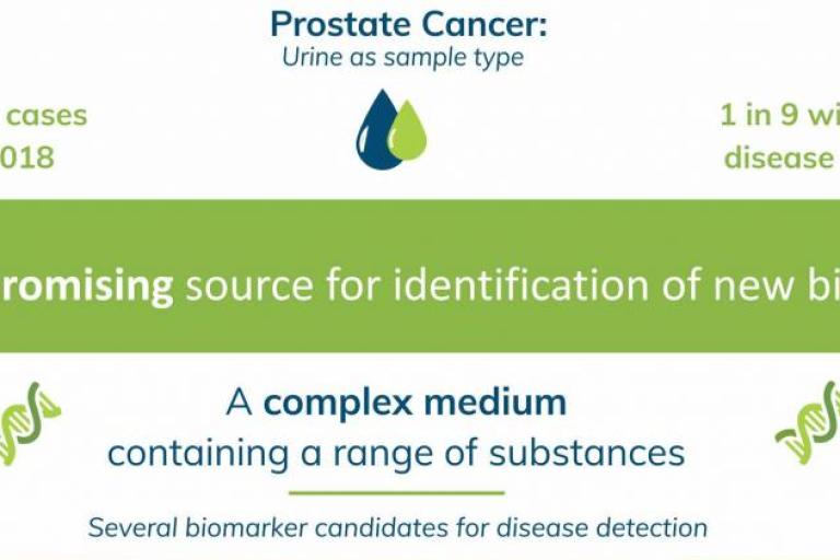 Prostate cancer: urine as a sample type (infographic)