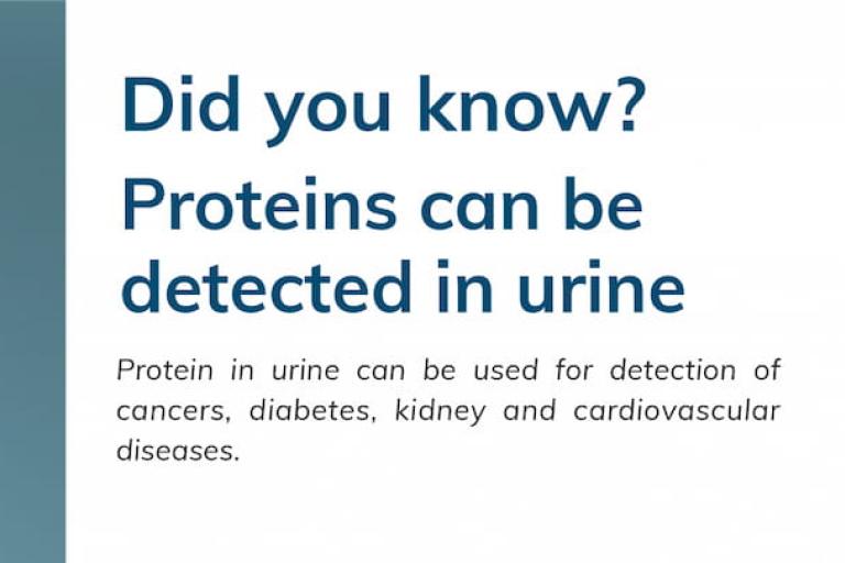 Protein detection in urine (infographic)