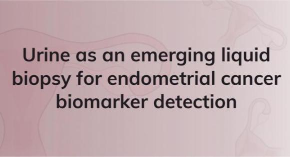 Endometrial cancer biomarker detection